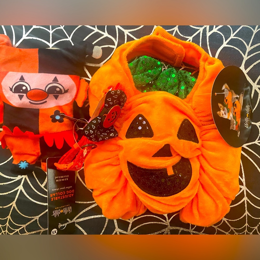 Halloween xs Costume, Collar & Crinkle Toy